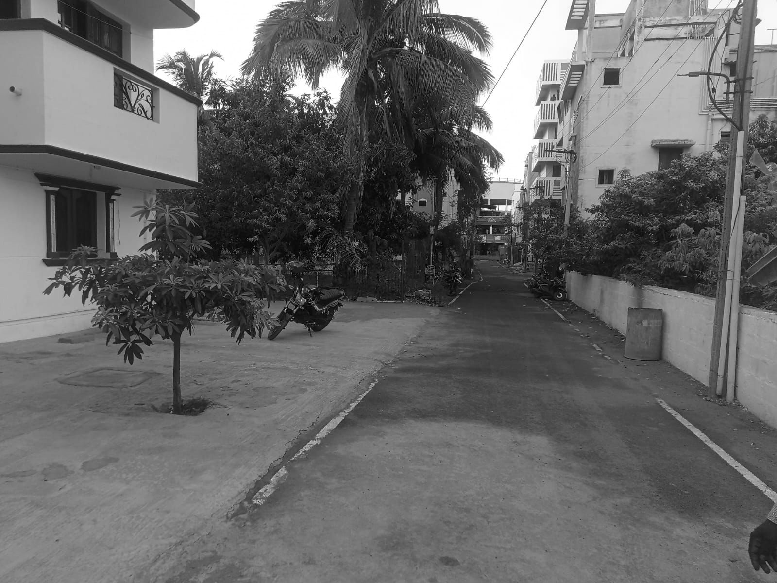 A quiet residential lane near the Sriperumbudur–Oragadam belt, with houses, coconut palms and parked motorbikes along a concrete street